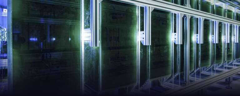 Algene_Case_Stage jpg