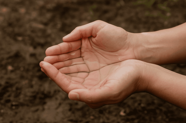 Hände halten klares Wasser als Symbol für nachhaltigen Umgang mit Wasserressourcen