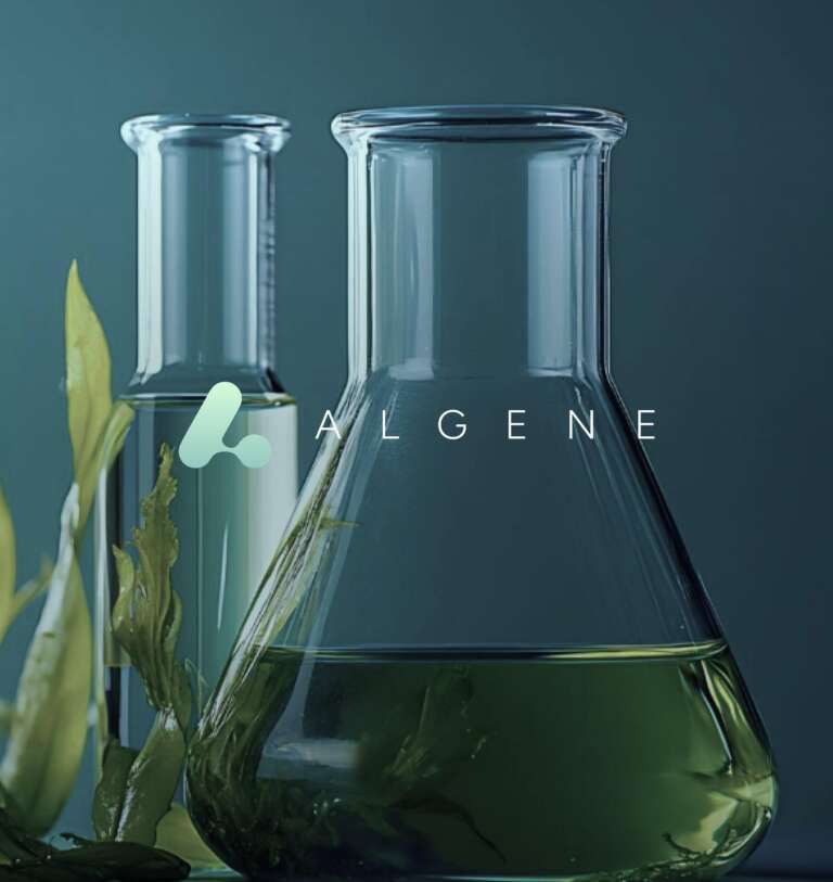 Algene_preview jpg